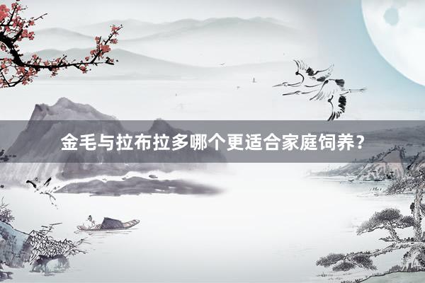金毛与拉布拉多哪个更适合家庭饲养？