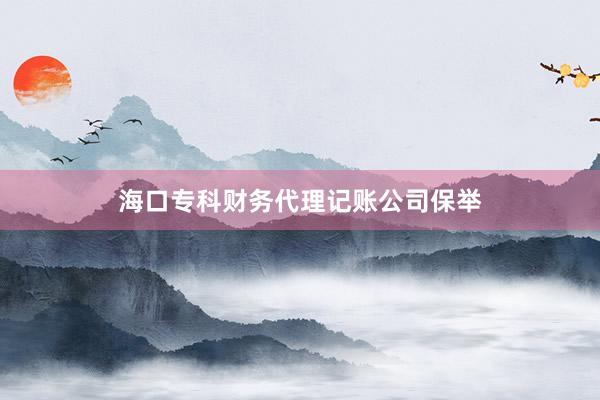 海口专科财务代理记账公司保举